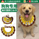 金毛围兜编织围脖毛线针织围兜中大犬宠物口水巾卡通娃娃配饰