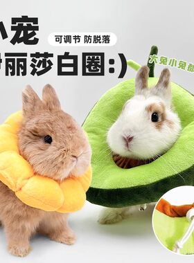 兔子伊丽莎白圈宠物防咬项圈龙猫豚鼠防抓咬脖套甜甜圈皮肤病