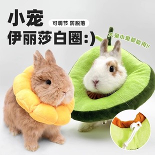 兔子伊丽莎白圈宠物防咬项圈龙猫豚鼠防抓咬脖套甜甜圈皮肤病