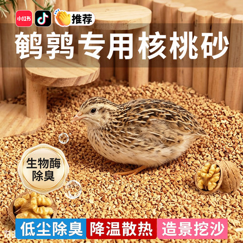 鹌鹑专用核桃砂垫料除臭无尘发酵