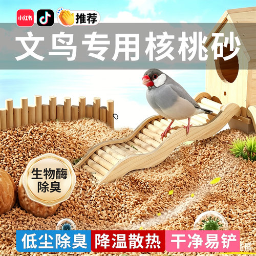 文鸟专用核桃砂垫料夏季天然清香