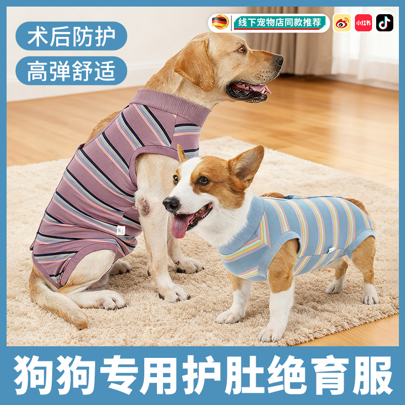 狗狗专用绝育服护肚衣母狗防舔
