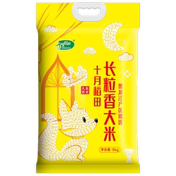 十月稻田 东北长粒香大米农家自产香米粳米 5kg-CN