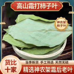 柿子叶中药材神农架野生干柿子叶粉新鲜干货霜后新荷叶白芥子山楂