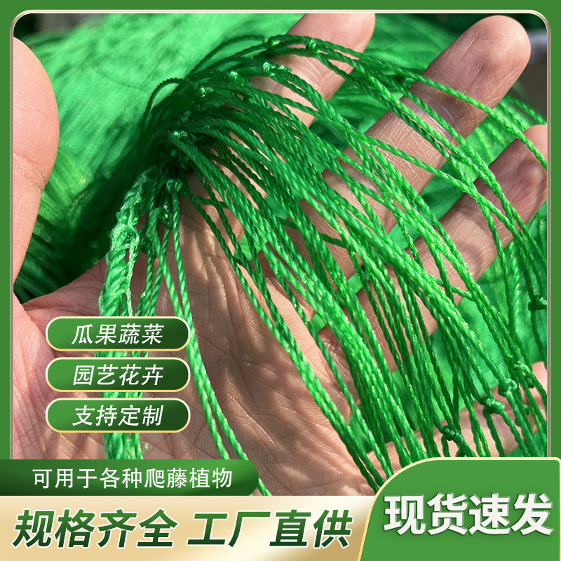 植物爬藤网百香果蔬菜攀爬月季花卉瓜果丝瓜百香果黄瓜庭院搭架网,鲜花速递/花卉仿真/绿植园艺,其它园艺用品,淘宝优惠券,粉丝福利购,淘宝优惠卷
