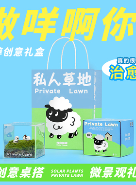 私人草地桌面生态苔藓微景观办公室绿植盆栽创意女生可爱生日礼物