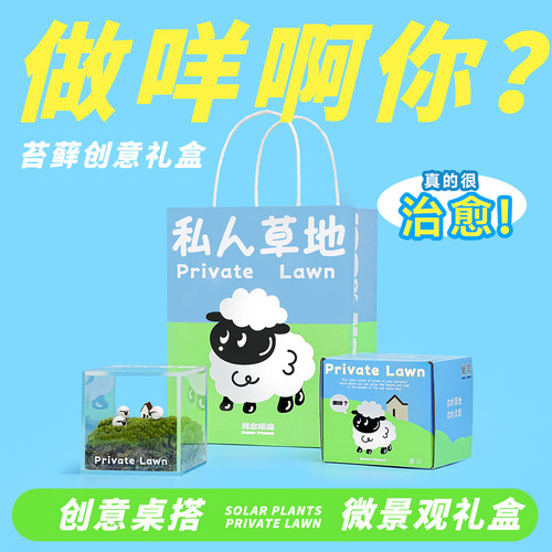 私人草坪私人草地苔藓微景观礼盒