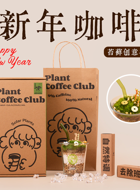 植人咖啡桌面苔藓微景观diy创意女生日新年礼物办公桌面绿植盆栽