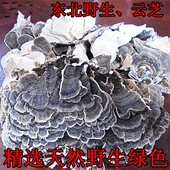 包邮 食用菌新货可500克 灵芝 一斤东北长白山野生云芝灵芝菌蘑