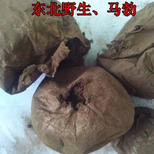 东北野生真菌马勃野生 250克马粪包灰马勃菌 马屁包带粉的半斤