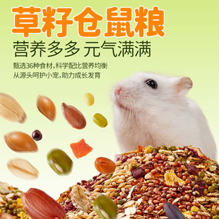 草籽仓鼠粮兔子豚鼠荷兰猪龙猫草籽四季多年生牧草种子猫尾草种籽