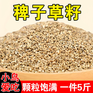 稗子草籽鹦鹉粮鸟粮鸽粮宠物鸟食鹦鹉外出包加纳利子油葵稗子稻谷