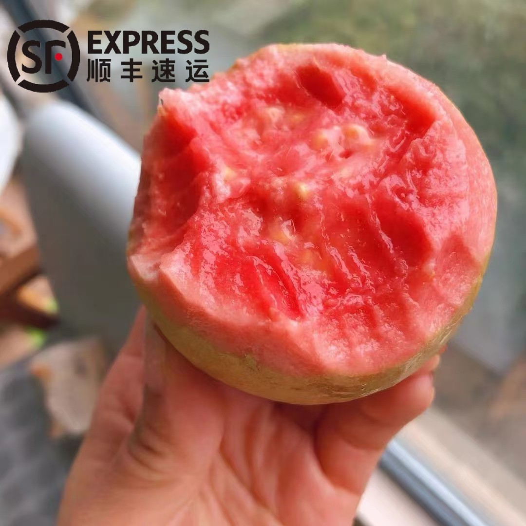 [顺丰]漳州平和树熟红心芭乐软糯香甜番石榴芭乐红心