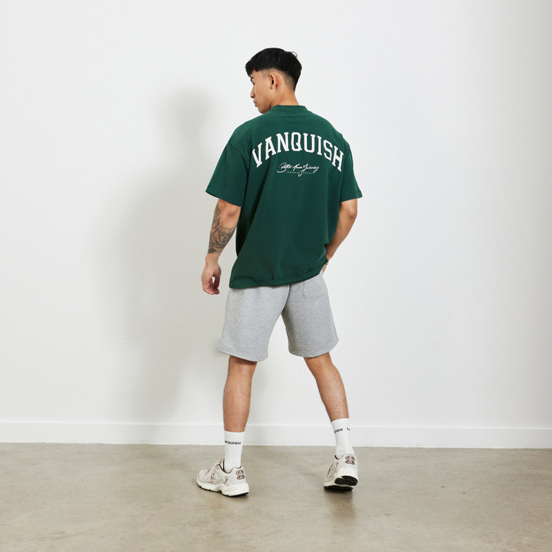 vq正品代购vanquish运动健身训练日常宽松oversize潮流短袖t恤bty