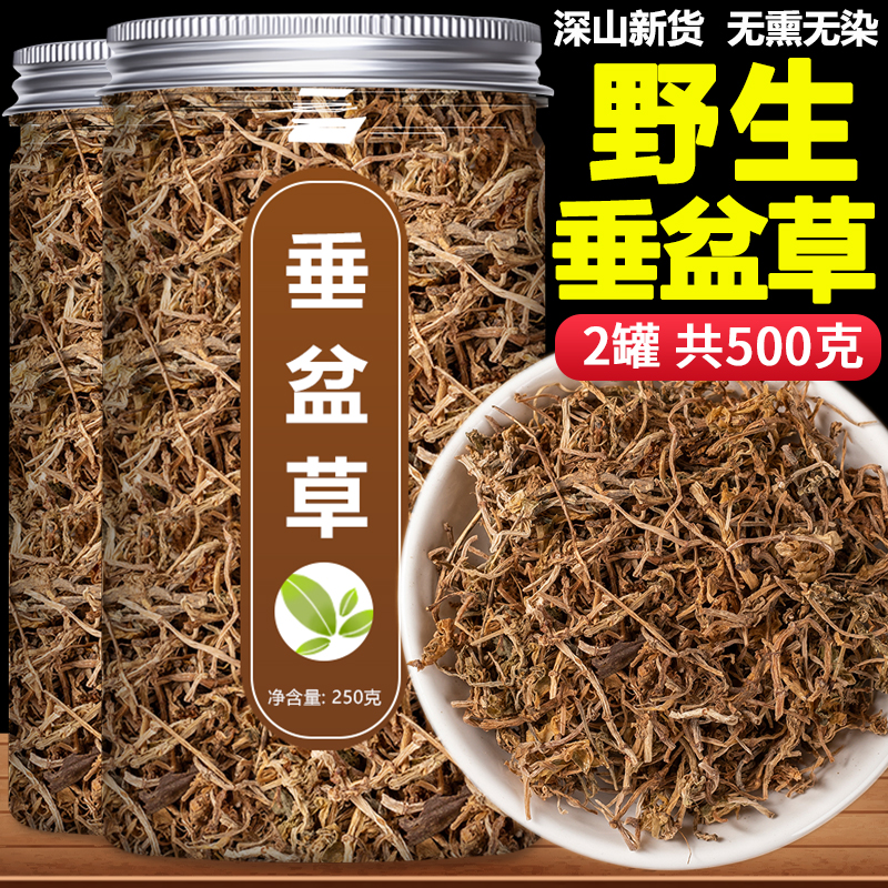 垂盆草中药材精选野生干净去杂