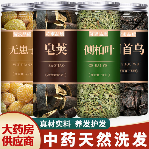 侧柏叶无患子皂角何首乌中药材