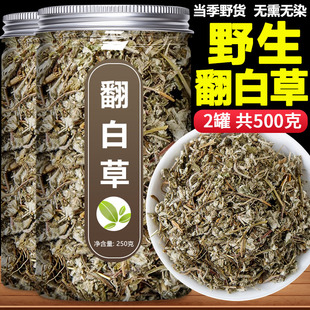 翻白草中药材官方旗舰店正品茶包500g野生翻百草绞股蓝苦丁的功效