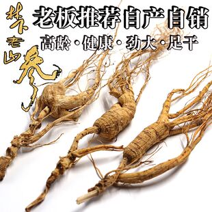 长白山林下参高龄正宗东北林下参清仓煲汤泡茶礼盒装籽货泡酒正品