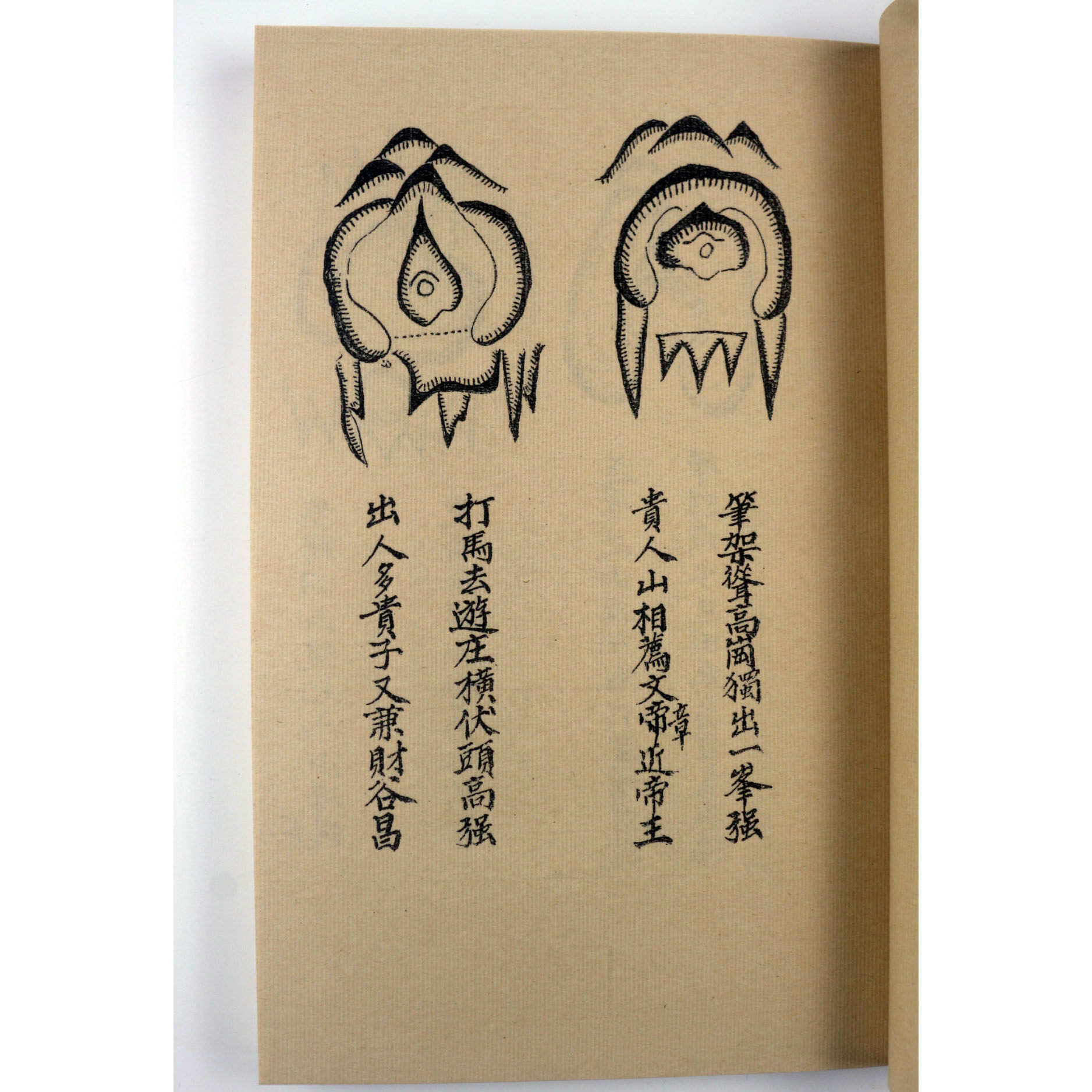 宣纸彩印龙穴砂水图精品收藏毛笔字帖地理