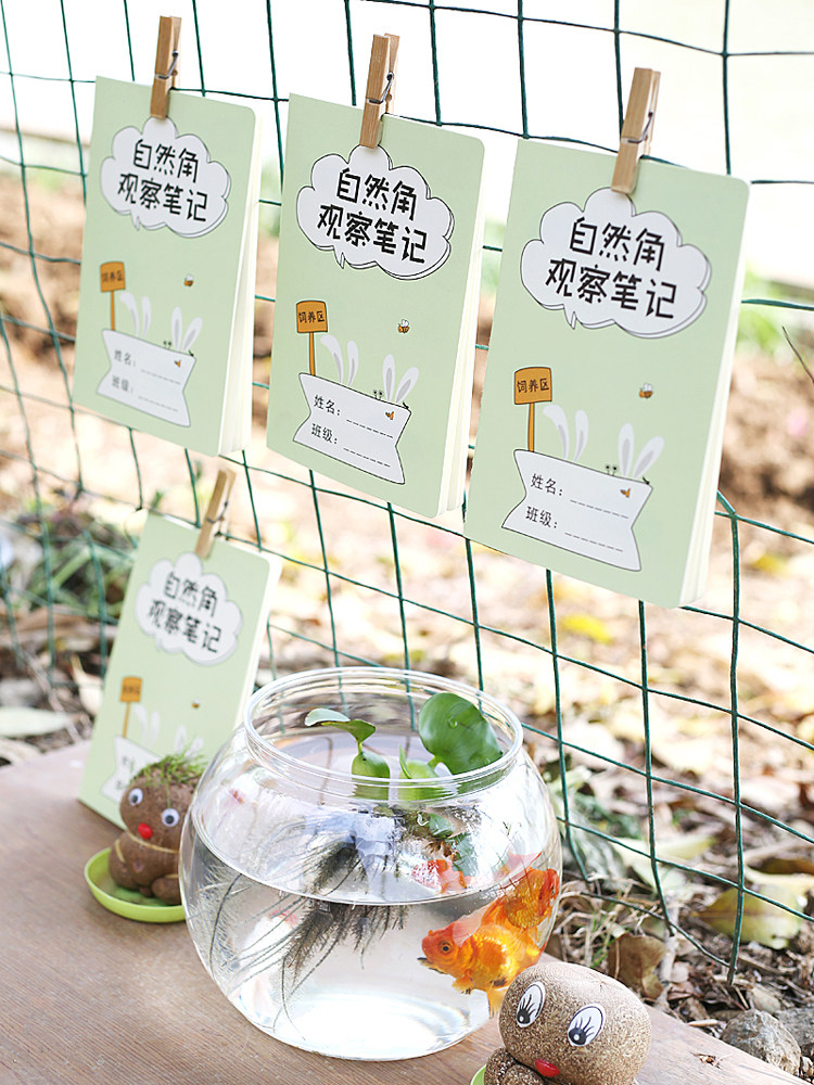 学校环创饲养区观察笔记儿童动物养殖记录本蚕宝宝金鱼蜗牛乌龟