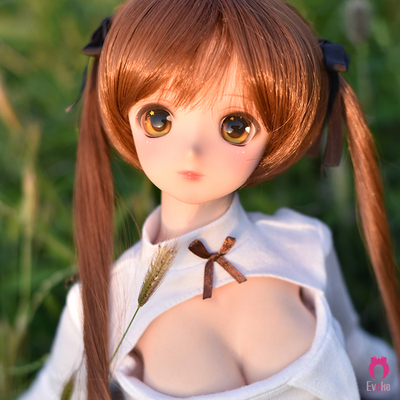 1/3娃头树脂EVOKEDOLL