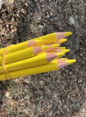 出德国1厘米单色黄色正姿粗芯直径粗杆涂色油性彩铅笔12支