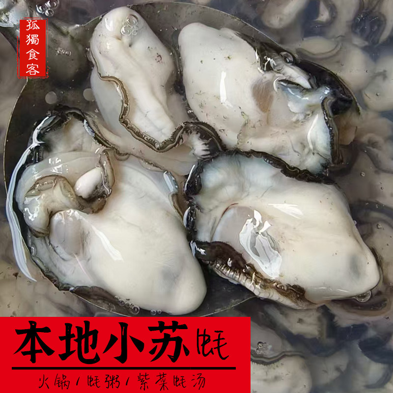 小苏蚝酥蚝脆蚝 当天现开现发 潮汕特产火锅蚝粥新鲜海蛎子1斤
