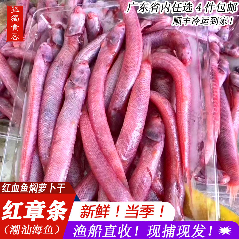 潮汕红章条新鲜海鲜鱼家乡菜食材图片