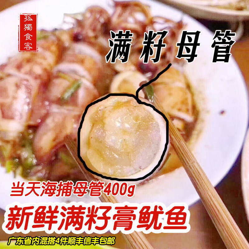 孤独食客 海捕海鲜活冻满籽母笔管海兔乌贼 新鲜膏鱿鱼筒带糕带籽