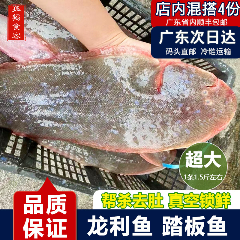 特大龙利鱼龙舌鱼踏板鱼新鲜无小刺1条1.5斤左右