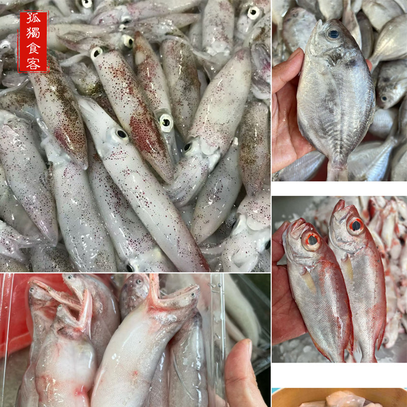 潮汕海鲜海鱼套餐 送海带苗一包广东包邮顺丰