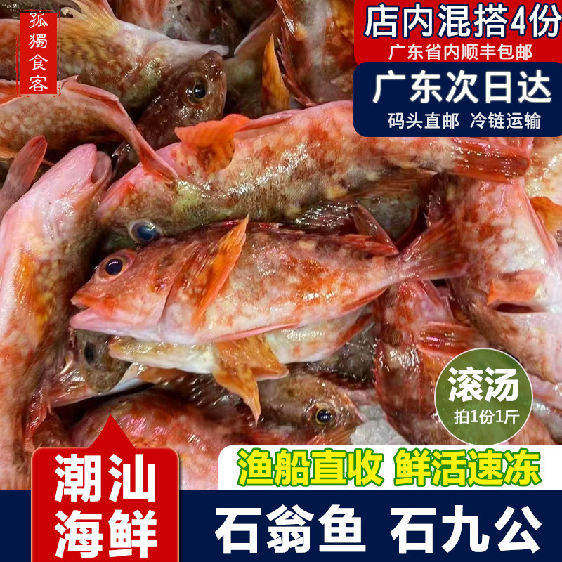 石翁鱼石九公刺过鱼潮汕海鲜海鱼新鲜煲汤小海鱼小红斑鱼1斤