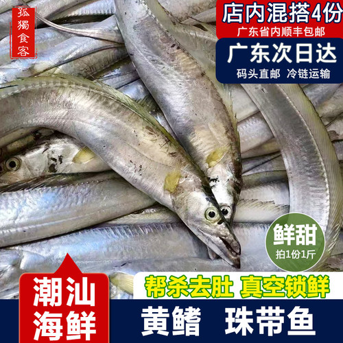 黄鳍金珠带鱼煮汤小带鱼鲜甜潮汕小海鲜海鱼