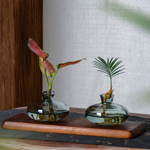 水培植物铁树小盆栽办公室内桌面创意好养易活绿植盆景一帆风顺