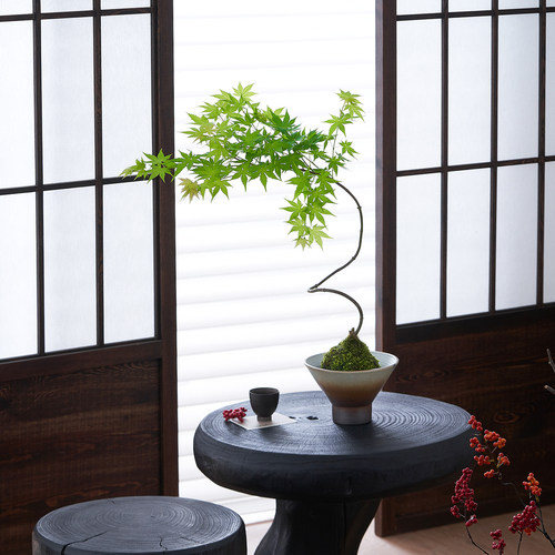 造型流泉枫苔藓球水培懒人好养绿植茶室办公室内中式禅意盆景摆件