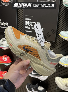 NIKE耐克女鞋WAIRZMPEGASUS 41 GTX运动训练公路跑步鞋IM6700-852