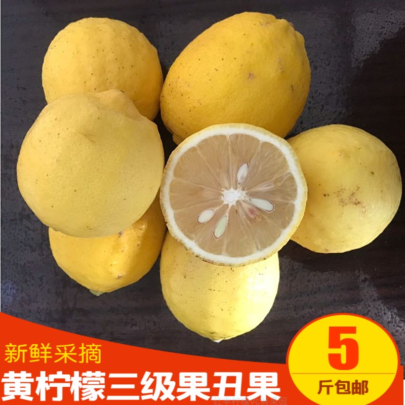 黄柠檬新鲜二三级果5斤包邮皮薄香水柠檬泡酒坏果包赔不苦冷藏果