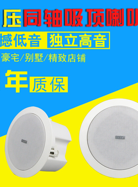 迪声TADS/665定压同轴天花喇叭公共广播吸顶背景音乐吊顶会议音响