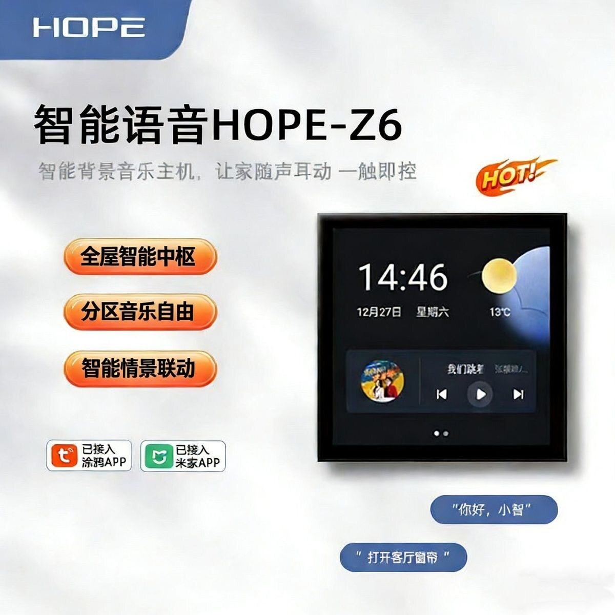 HOPE向往Z6接入米家智能背景音乐86型吸顶音响控制主机