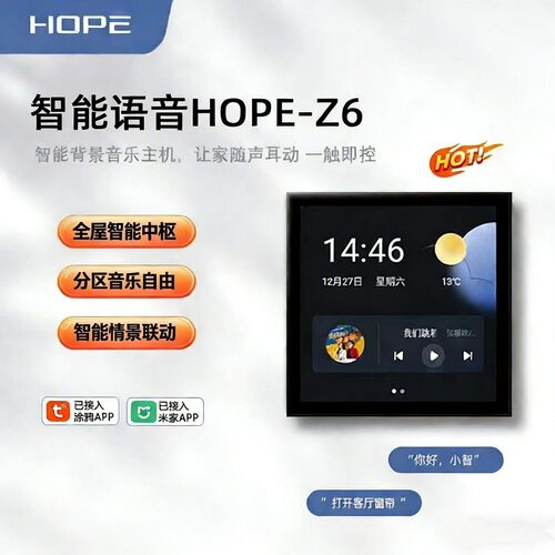 向往86背景音乐主机接入米家