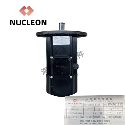 起重机行车用软起动电机NUCLEON