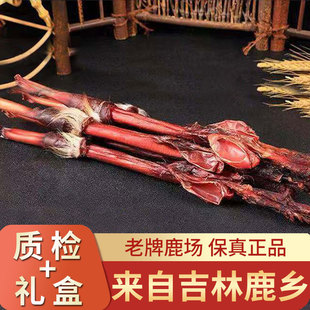 鹿鞭干整根吉林梅花鹿乡男用滋补医者可搭鹿茸泡酒料非丸正心正品