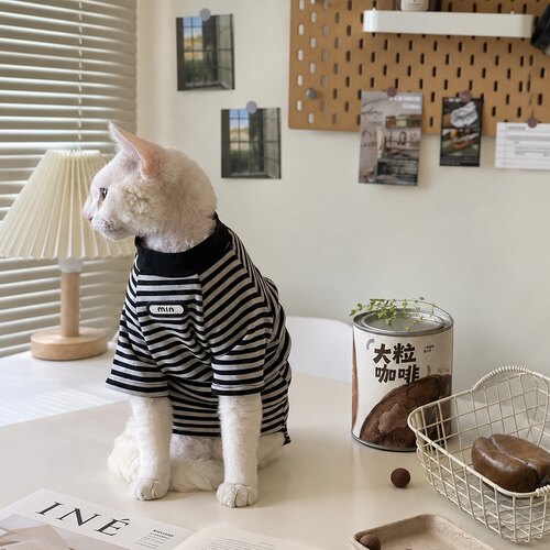 春秋阿比西尼亚猫无毛猫衣服德文猫纯棉T恤条纹小型犬打底衫小猫