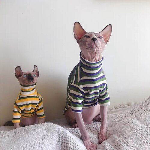秋冬加厚保暖纯棉无毛猫衣服