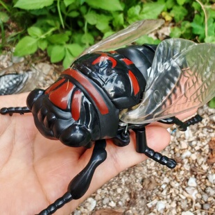 跨境上链发条行驶仿真金蝉子创意新奇搞笑小玩具模型摆件仿真知了