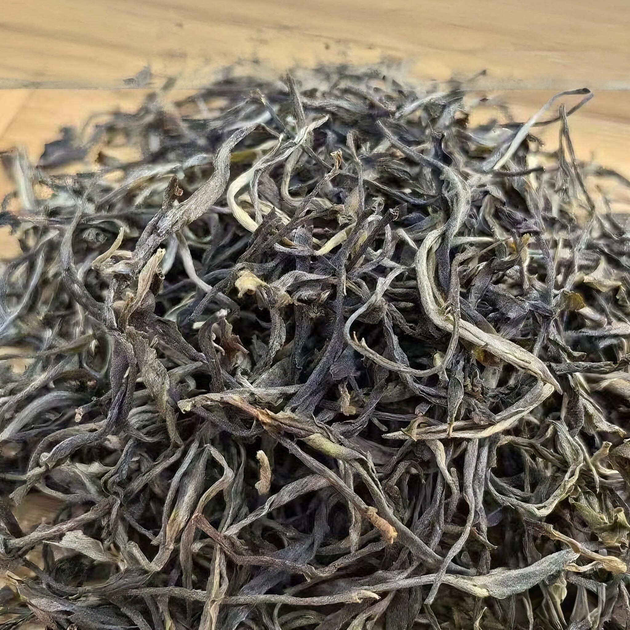 2025年头春滑竹梁子乔木大树茶普洱茶生茶云南勐海散装茶叶