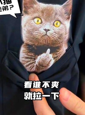 新款爆款260g重磅纯棉t恤男女夏季口袋猫咪情侣宽松大码T短袖上衣