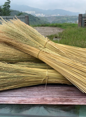 广西香糯米禾杆稻草绑霉豆腐端午烧灰水绑粽子编织稻谷草心扎三宝