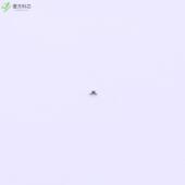 MCR004YZPJ100 10Ω ±5% 原厂原装 31mW全新正品