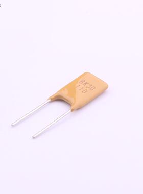 原厂原装BK30-110-SZ-E0.5 PTC自恢复保险丝 PTC_7